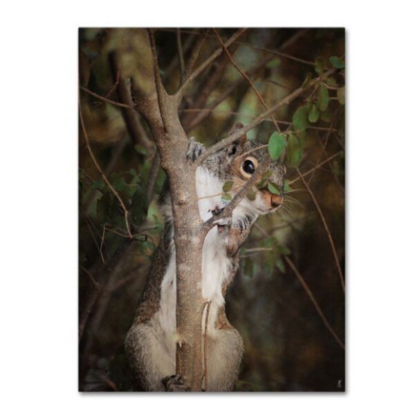 Jai Johnson 'Camera Shy Squirrel' Canvas Art, 14x19, Trademark Fine Art, Mfr#: ALI13751-C1419GG